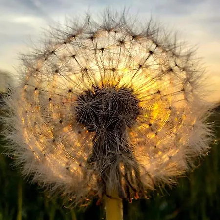 Hébergement de vacances Maringotka Ovcarka