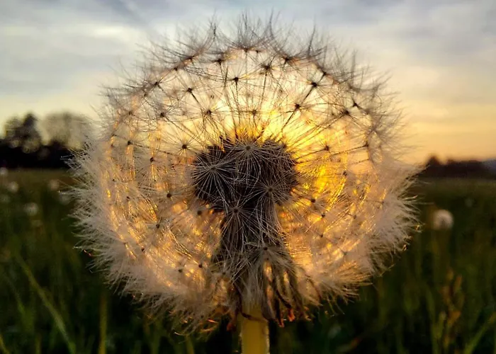 Casa vacanze Maringotka Ovčárka